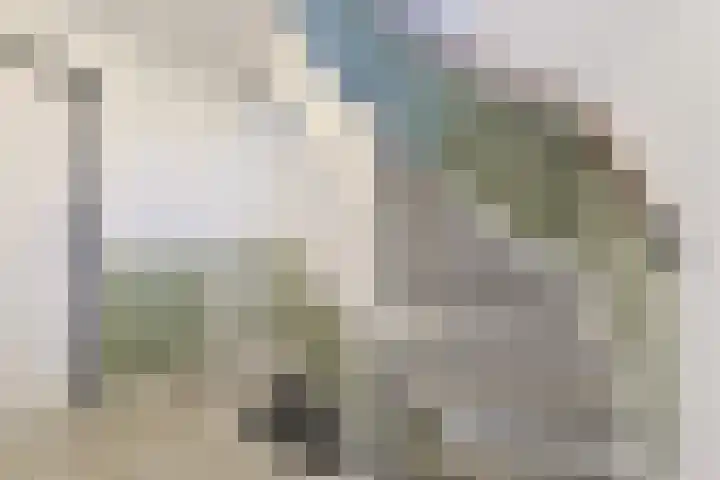 Vronkenlaan 69 Leiderdorp thumbnail 14