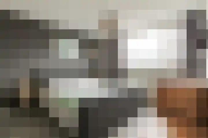 Vronkenlaan 69 Leiderdorp thumbnail 16