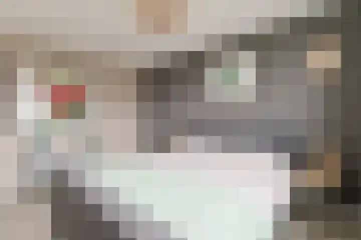 Vronkenlaan 69 Leiderdorp thumbnail 17