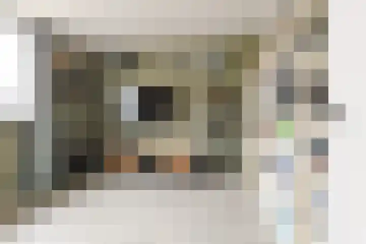 Vronkenlaan 69 Leiderdorp thumbnail 20