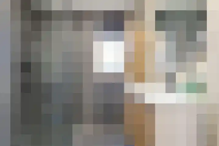 Vronkenlaan 69 Leiderdorp thumbnail 22