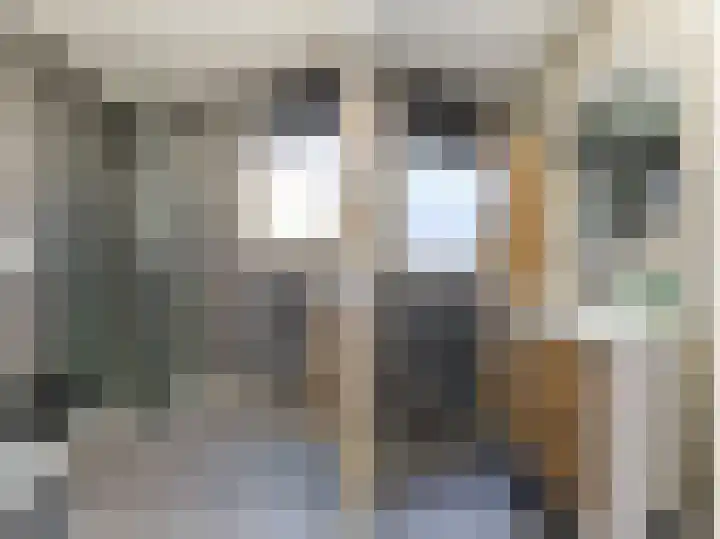 Vronkenlaan 69 Leiderdorp thumbnail 23