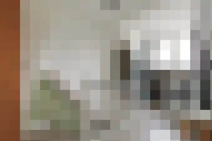 Vronkenlaan 69 Leiderdorp thumbnail 24