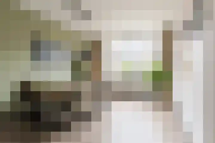 Vronkenlaan 69 Leiderdorp thumbnail 4