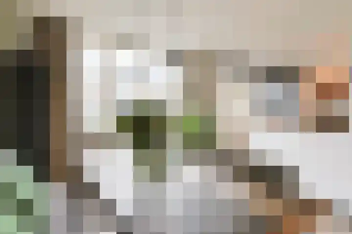 Vronkenlaan 69 Leiderdorp thumbnail 5