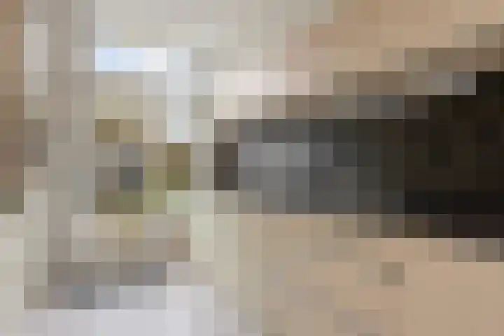 Vronkenlaan 8 Leiderdorp thumbnail 10