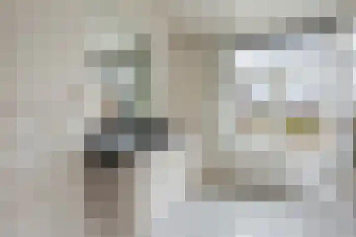 Vronkenlaan 8 Leiderdorp thumbnail 18