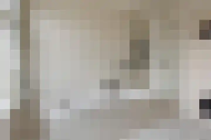 Vronkenlaan 8 Leiderdorp thumbnail 19
