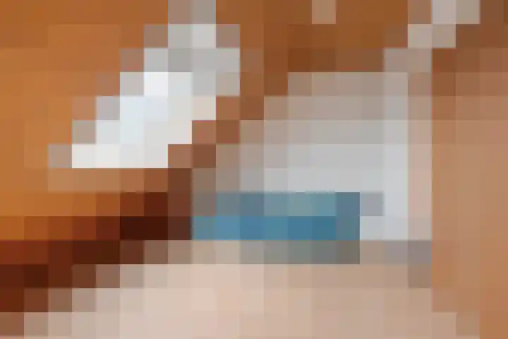 Vronkenlaan 8 Leiderdorp thumbnail 22