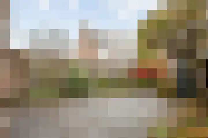 Vronkenlaan 8 Leiderdorp thumbnail 26
