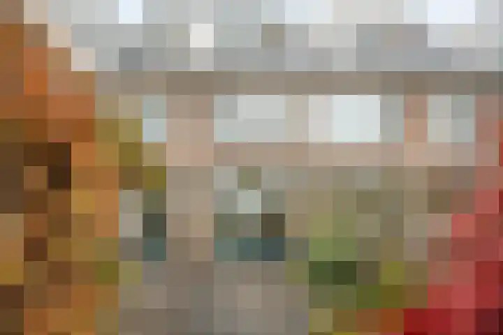 Vronkenlaan 8 Leiderdorp thumbnail 28