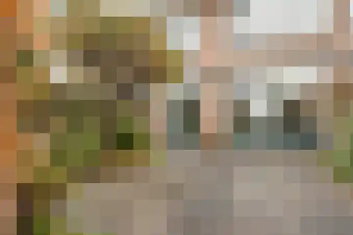 Vronkenlaan 8 Leiderdorp thumbnail 29