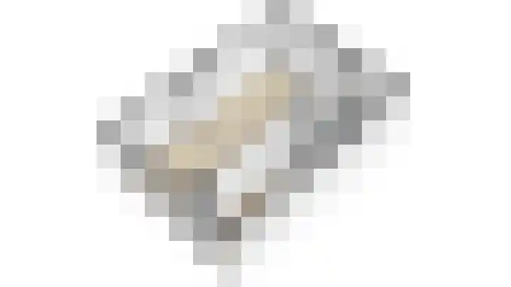 Vronkenlaan 8 Leiderdorp thumbnail 31