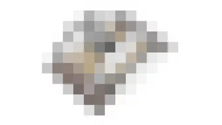 Vronkenlaan 8 Leiderdorp thumbnail 35