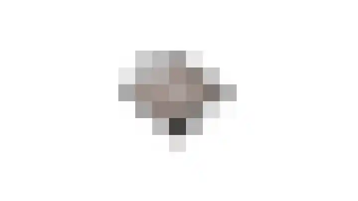 Vronkenlaan 8 Leiderdorp thumbnail 37