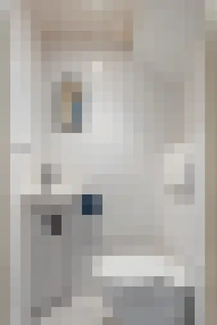 Vronkenlaan 8 Leiderdorp thumbnail 4