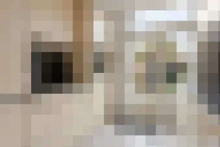 Vronkenlaan 8 Leiderdorp thumbnail 9