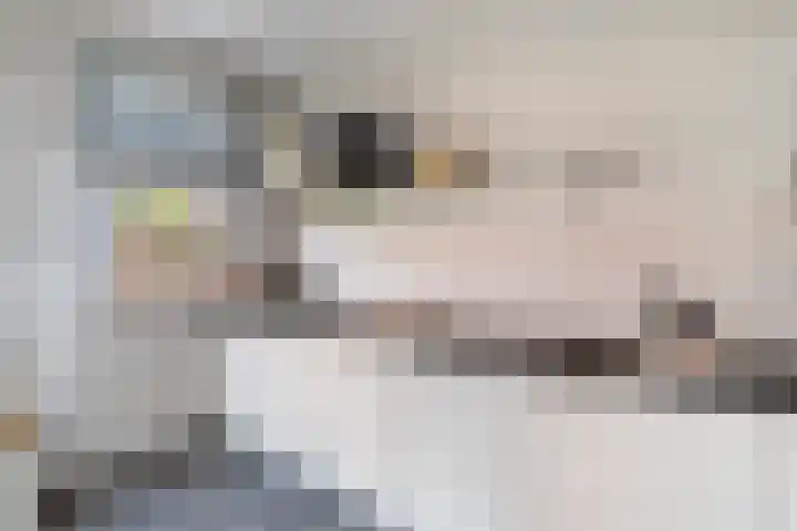Vroomstraat 4 Pernis Rotterdam thumbnail 25