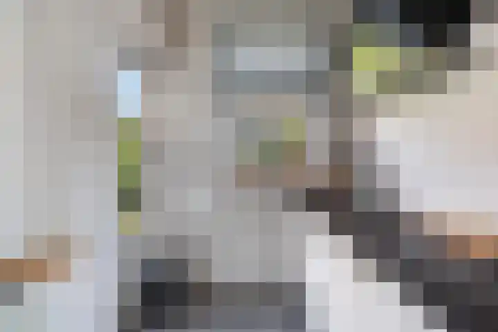 Vroomstraat 4 Pernis Rotterdam thumbnail 26