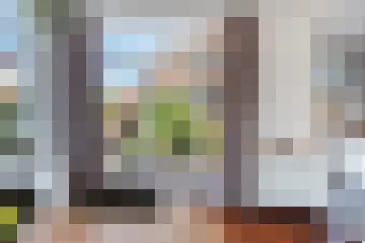 Vroomstraat 4 Pernis Rotterdam thumbnail 28
