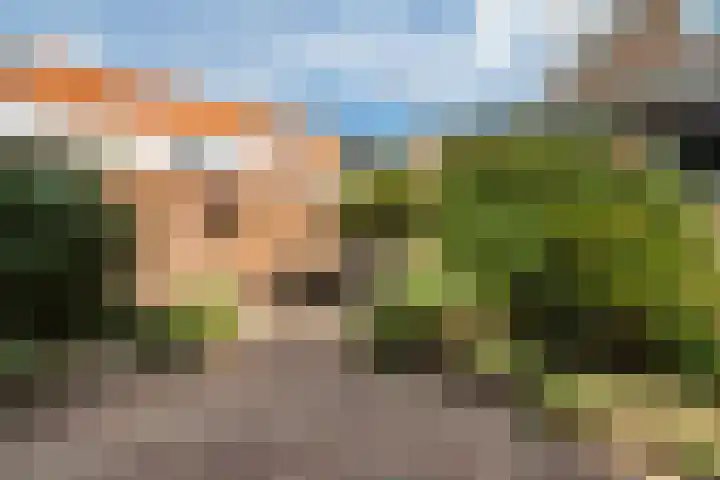 Vroomstraat 4 Pernis Rotterdam thumbnail 30