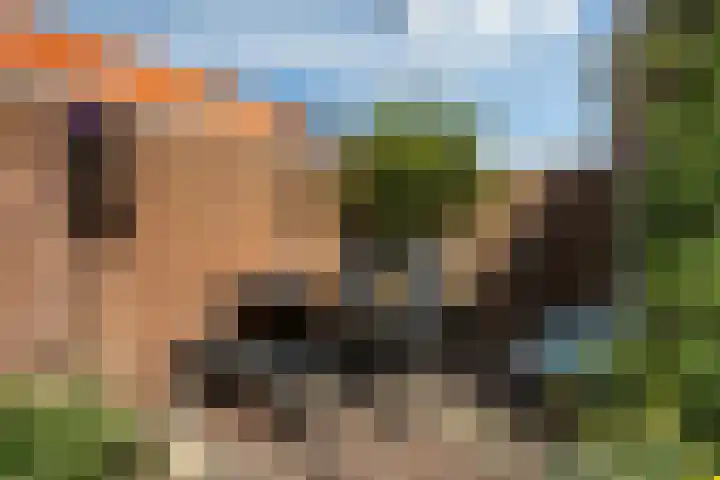Vroomstraat 4 Pernis Rotterdam thumbnail 31
