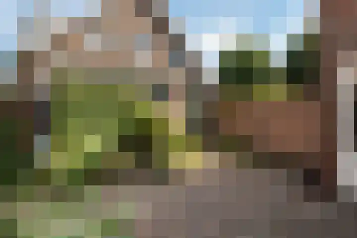 Vroomstraat 4 Pernis Rotterdam thumbnail 33