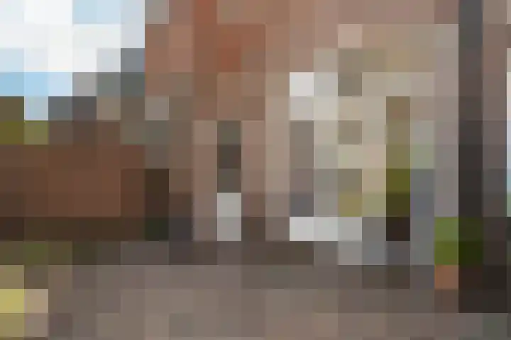 Vroomstraat 4 Pernis Rotterdam thumbnail 34