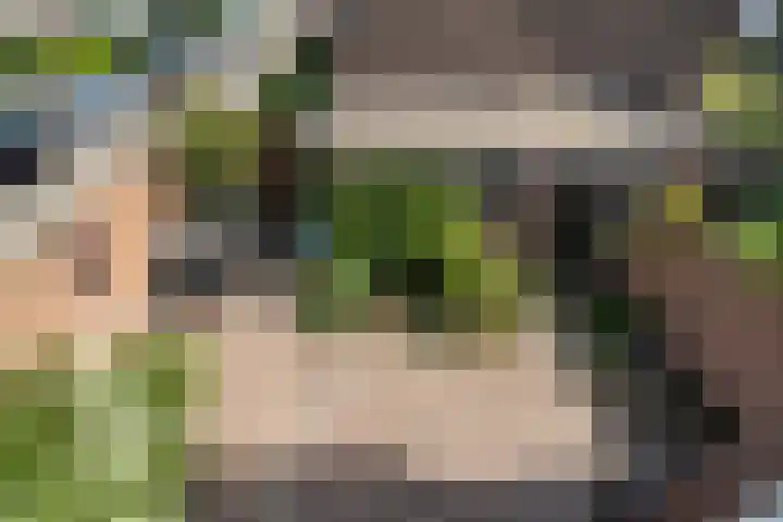 Vroomstraat 4 Pernis Rotterdam thumbnail 4