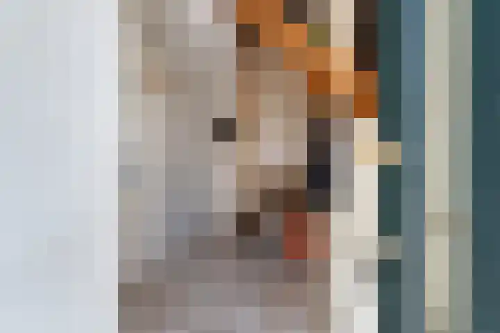 Vroomstraat 4 Pernis Rotterdam thumbnail 8