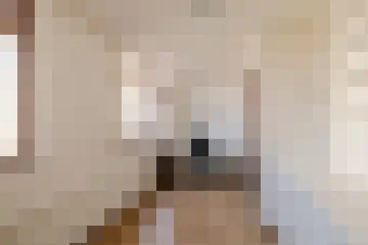 Vroomstraat 9 Haarlem thumbnail 21