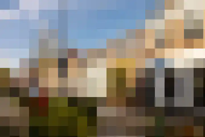 Vroomstraat 9 Haarlem thumbnail 29