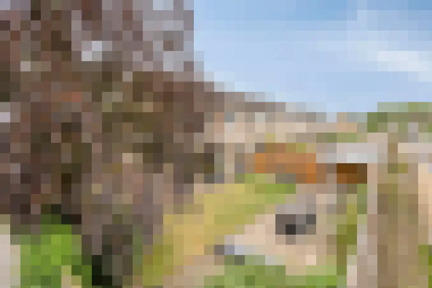 Vroonenburg 23 Kapelle thumbnail 7