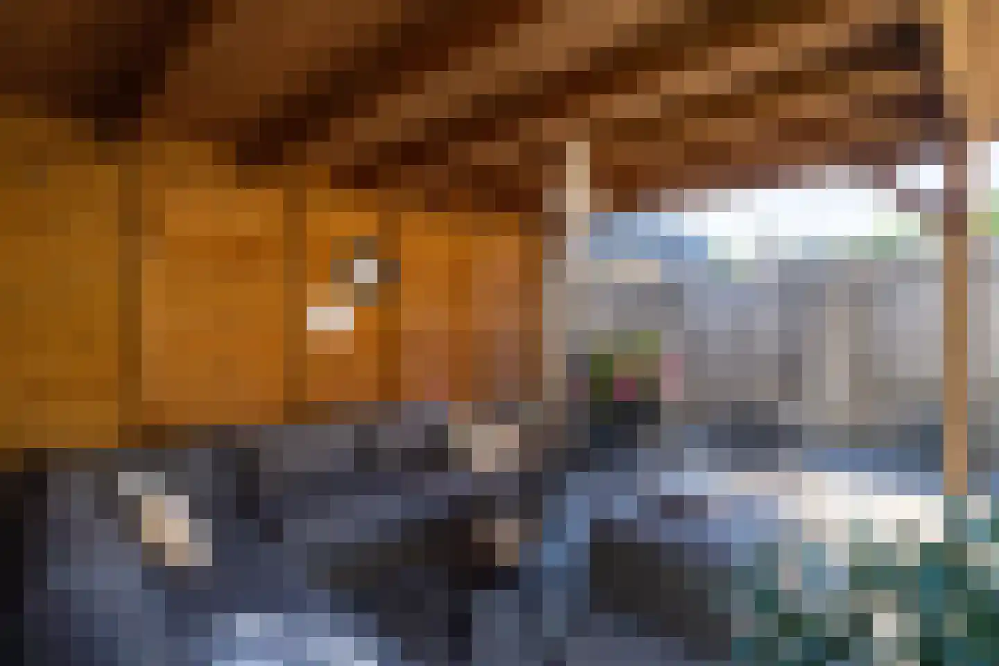 Vroonhoeve 41 Wijk en Aalburg thumbnail 31