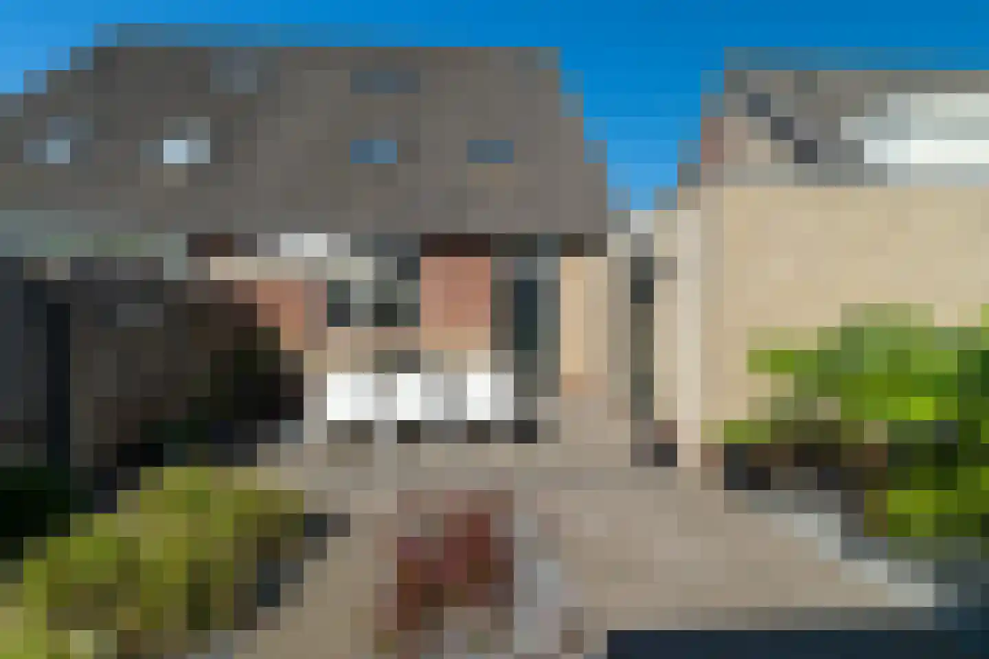 Vroonhoeve 41 Wijk en Aalburg thumbnail 33