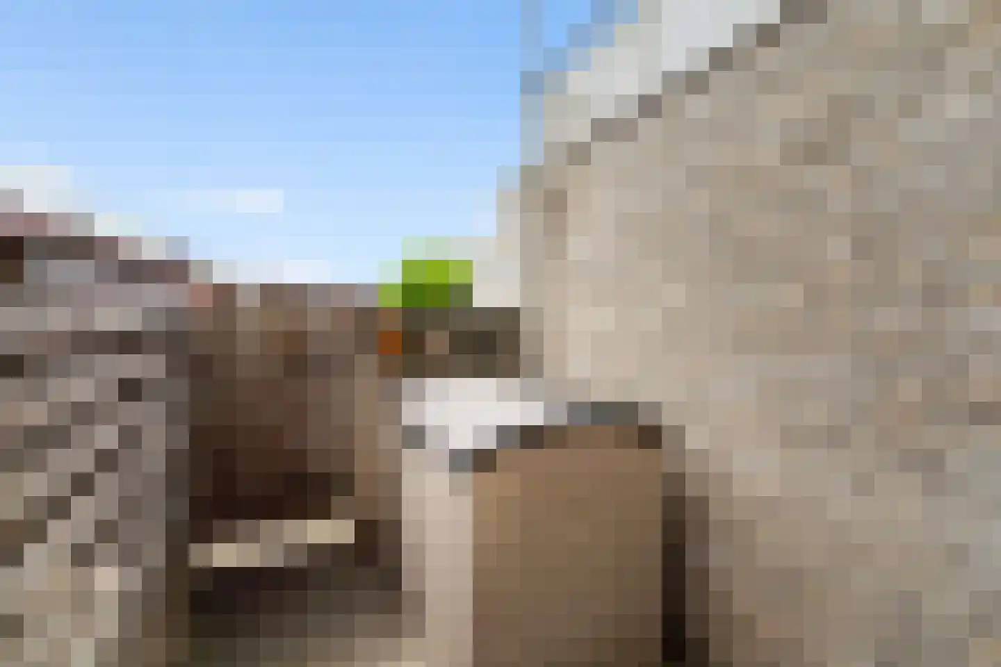 Vroonhoevelaan 11 Alphen aan den Rijn thumbnail 23