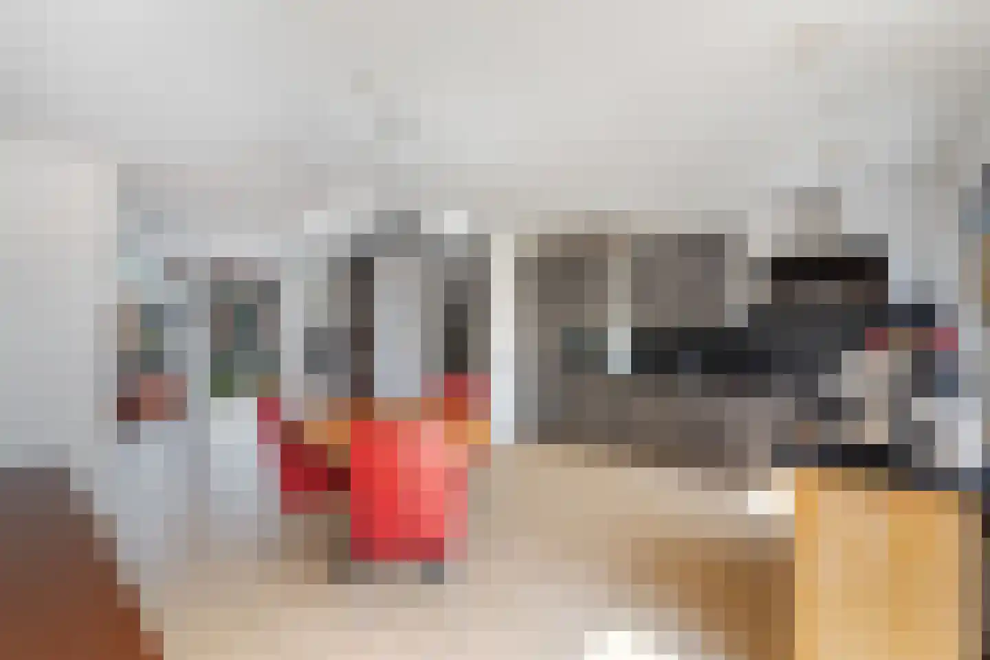 Vroonhoevelaan 11 Alphen aan den Rijn thumbnail 30