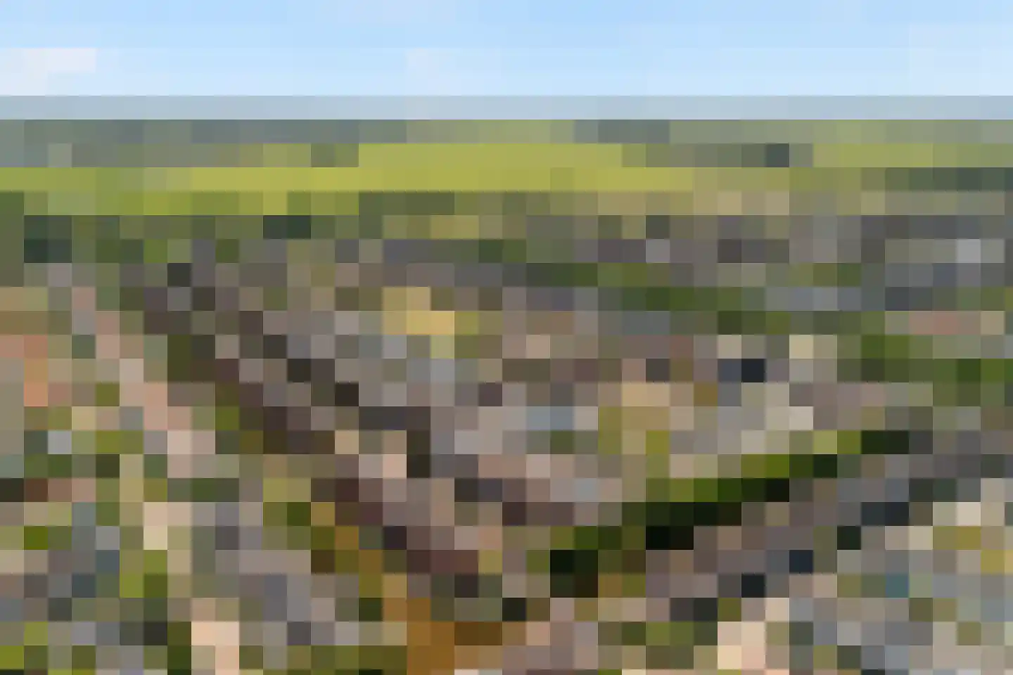 Vroonhoevelaan 11 Alphen aan den Rijn thumbnail 4