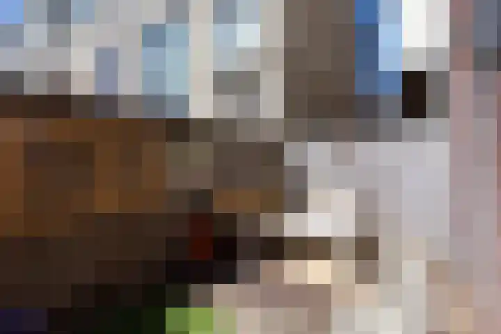 Vroonhoevelaan 5 Alphen aan den Rijn thumbnail 10