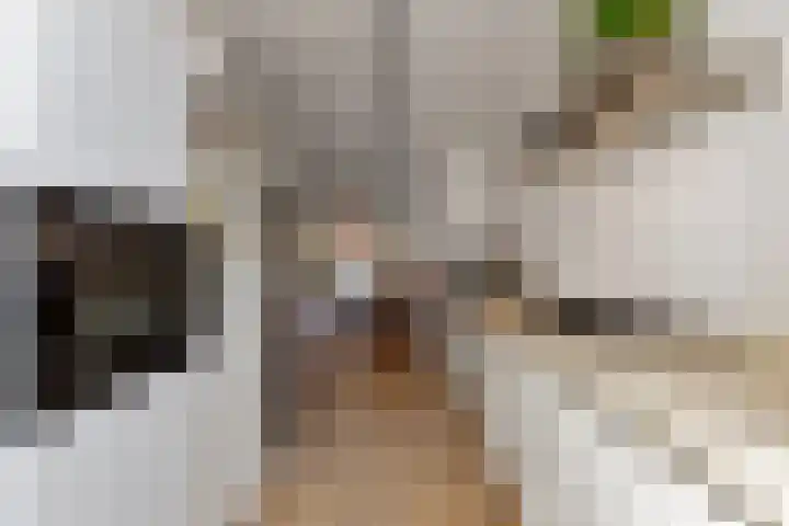 Vroonhoevelaan 5 Alphen aan den Rijn thumbnail 12