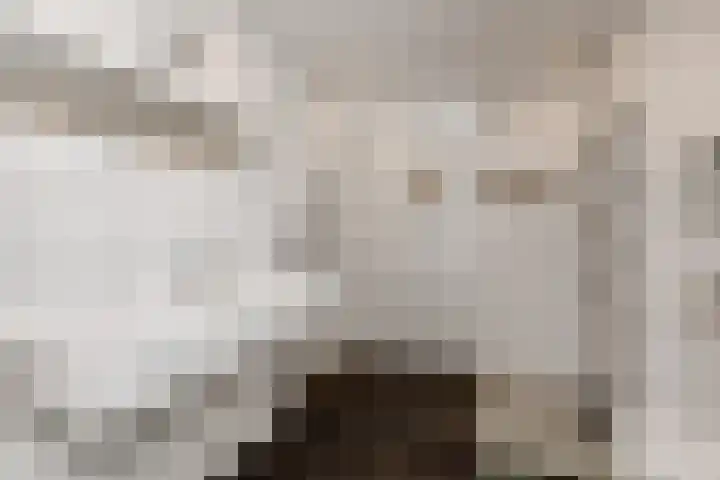 Vroonhoevelaan 5 Alphen aan den Rijn thumbnail 20