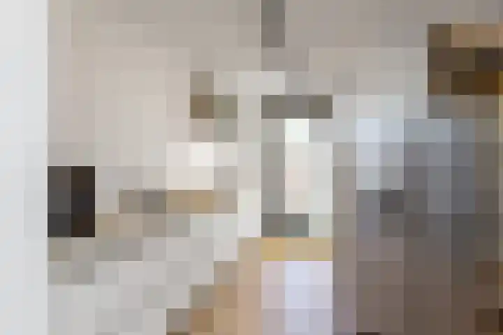 Vroonhoevelaan 5 Alphen aan den Rijn thumbnail 8