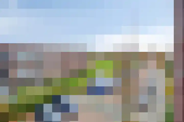 Vroonhoevelaan 59 Alphen aan den Rijn thumbnail 18