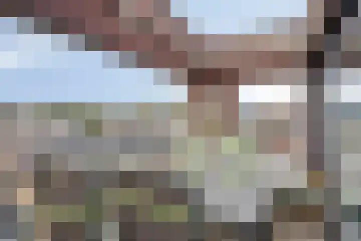 Vroonhoevelaan 59 Alphen aan den Rijn thumbnail 9