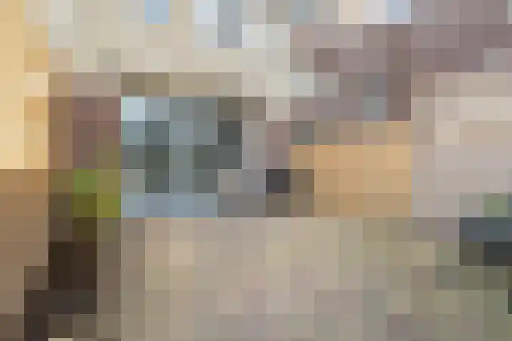 Vroonhoevelaan 63 Alphen aan den Rijn thumbnail 34