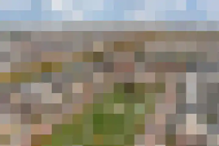 Vroonhoevelaan 63 Alphen aan den Rijn thumbnail 5