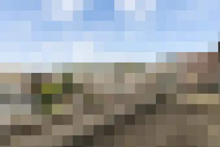 Vroonhoevelaan 63 Alphen aan den Rijn thumbnail 54
