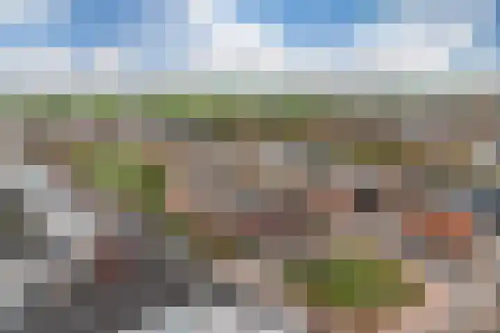 Vroonhoevelaan 63 Alphen aan den Rijn thumbnail 55