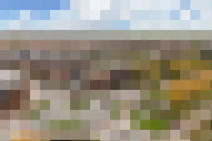 Vroonhoevelaan 63 Alphen aan den Rijn thumbnail 56