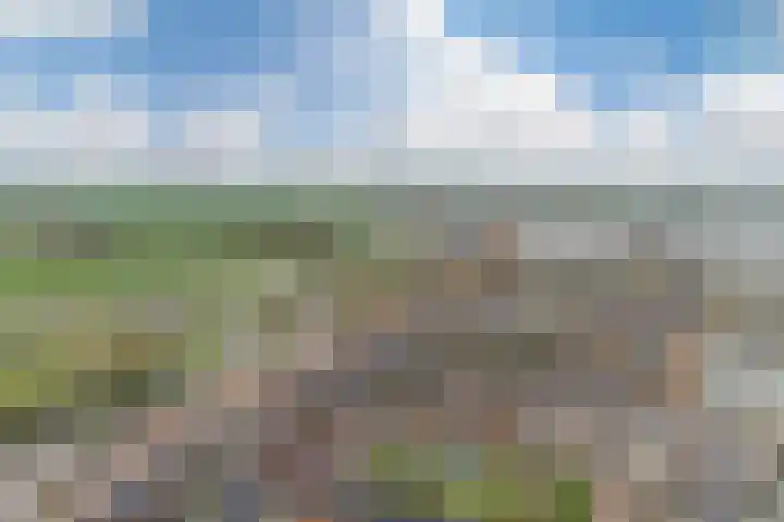 Vroonhoevelaan 63 Alphen aan den Rijn thumbnail 57
